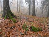 Kolnica - Planinski dom Goška ravan